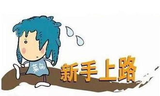 从做一个合格的小股民开始 四川牛犇犇教育咨询的实用指南