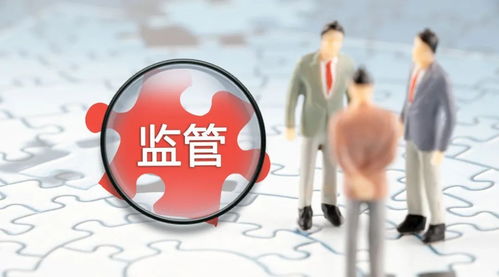 教育创业者过冬 关停与转型中的生存智慧